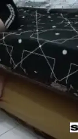 Bokep Indo Ngewe Cewek BO Panlok Cantik Semok